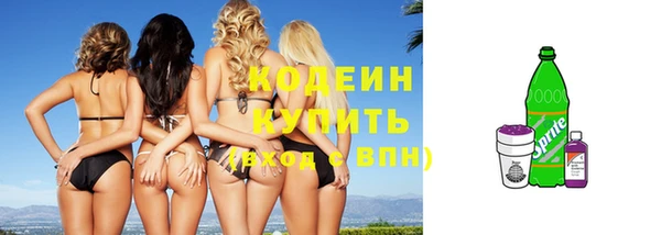 бошки Елабуга