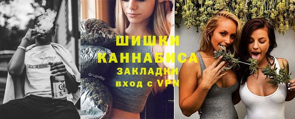 сатива Армянск