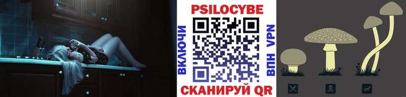 Псилоцибиновые грибы Psilocybe продажа наркотиков Малгобек
